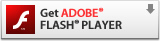 Adobe Flash Player̃CXg[