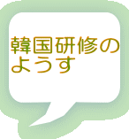 ؍C 悤 