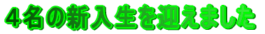 VwŇӂ𔭕\܂