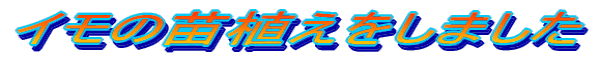 C̕cA܂