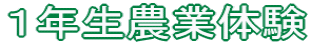 PN_Ƒ̌